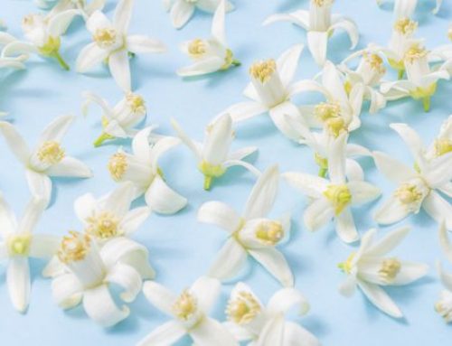 6 Benefits of Neroli Essential Oil